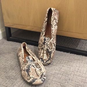 Coach Snake skin loafer